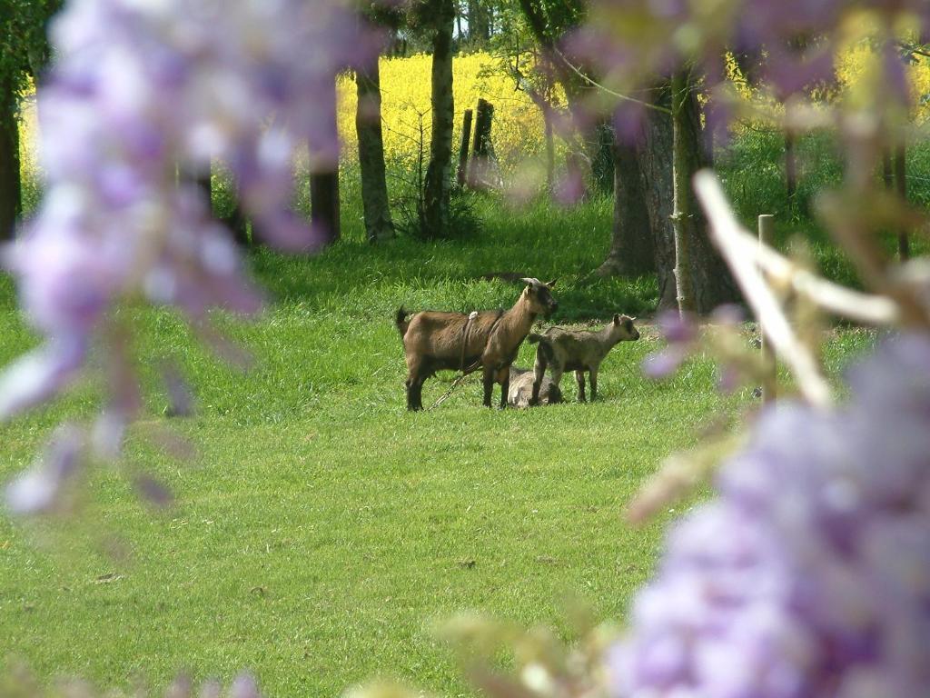 Maison Prairie Bonheur Bed & Breakfast Magny-les-Hameaux Oda fotoğraf